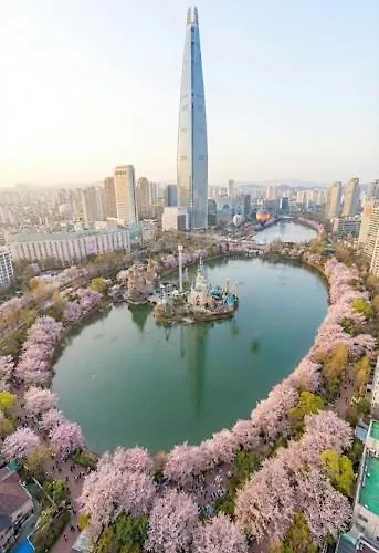 Songpa Jamsil Songridan-gil Lotte World Asan Hospital Olympic Park K-concert Gangnam 20 Minutes, Seongsu 20 Minutes * 首爾